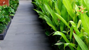 A pathway lined with lush green plants and palm trees, leading to a building with a modern architectural design. - Arena Living (Denpasar)
