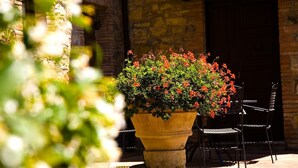 A potted plant with red flowers in an outdoor setting with a brick wall and a table with chairs. - Frantoio - Il Casale di Villore, Poggibonsi, Siena, Tuscany (Poggibonsi)