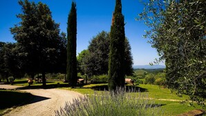 A garden with tall cypress trees, a gravel path, and lavender plants. - Frantoio - Il Casale di Villore, Poggibonsi, Siena, Tuscany (Poggibonsi)