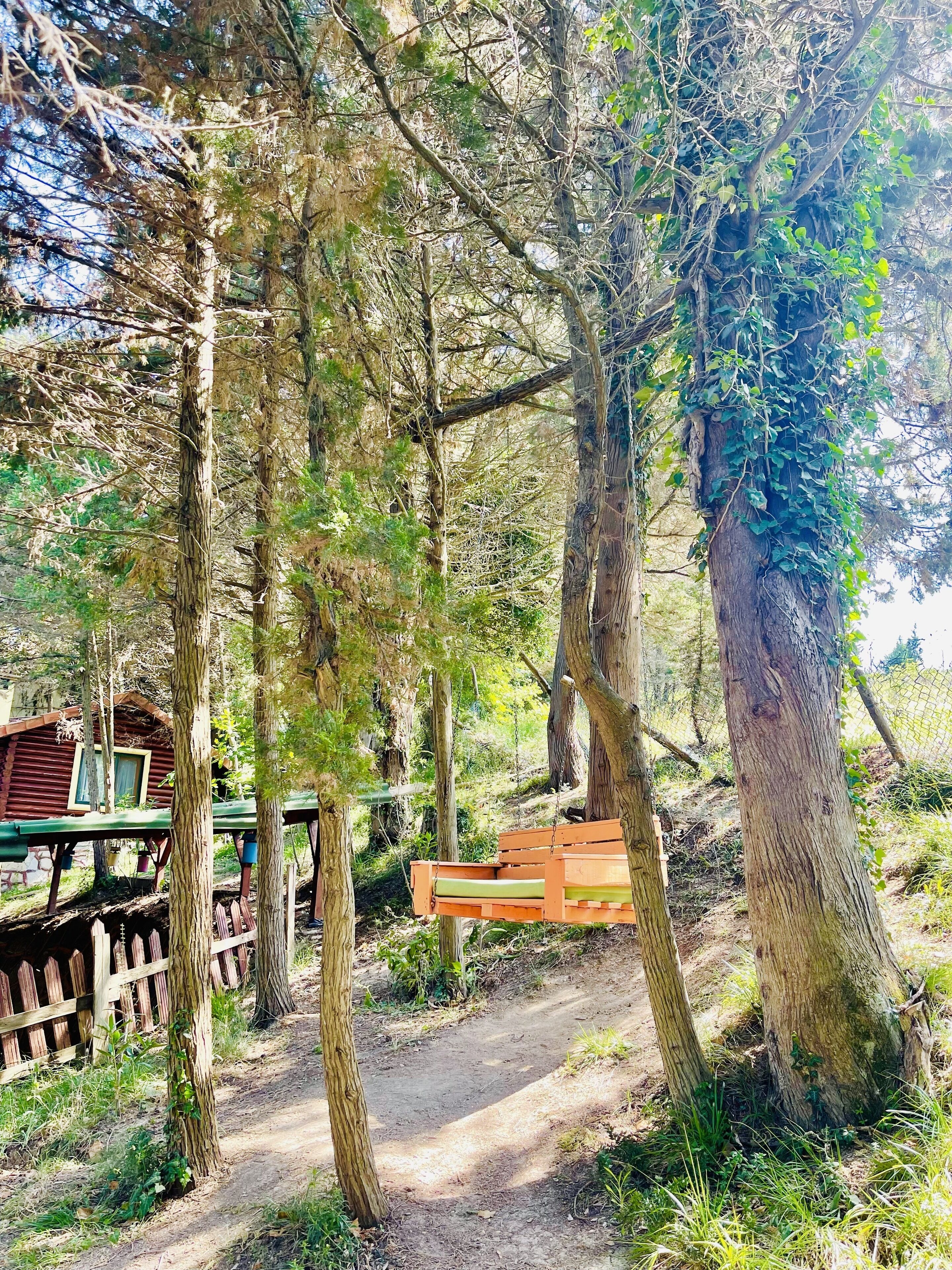 43-inch smart tv with satellite channels, fireplace, heated floors