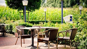 Un espace extérieur aménagé en terrasse, avec des chaises et des tables en osier, entouré d’une végétation luxuriante et d’un champ de maïs.