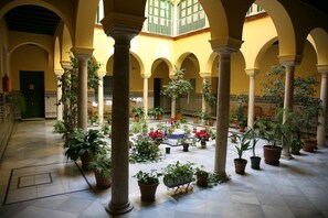 Terrace/patio - Botanic Duplex Private Terrace 6 pax next to Cathedral (SEVILLA)