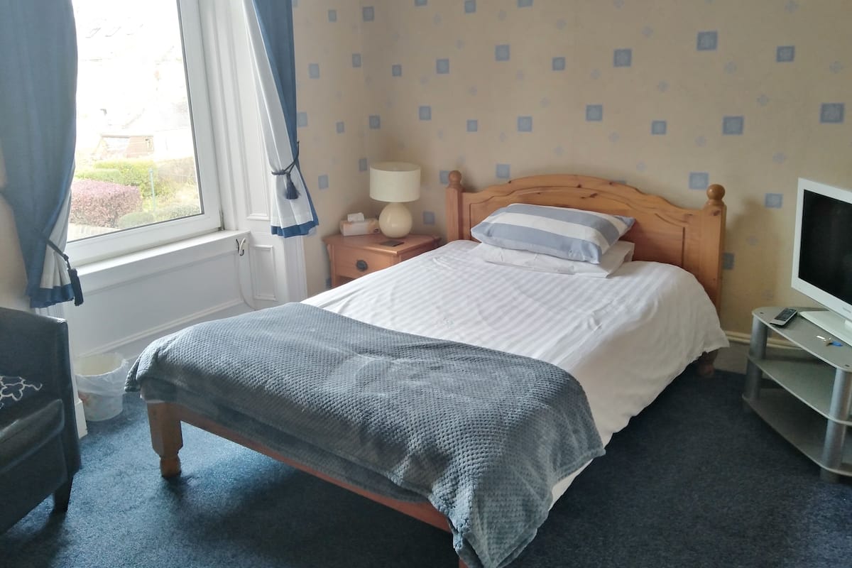 A neatly made bed with a blue blanket, a wooden headboard, a bedside lamp, and a TV on a stand.