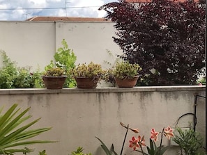 Teras/patio