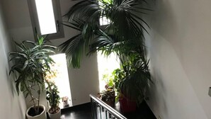 Un escalier orné de plantes en pot sur le palier et offrant une vue sur l’extérieur par une fenêtre.