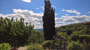 A tall, narrow tree in a landscaped garden with a clear sky and distant mountains. - Apt. LaTraviata - Residence Casa lama - two-room apartment 2/4 P for couples or families (Castelfranco di Sopra)