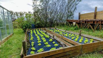 A garden with raised beds, a greenhouse, and a wooden structure.