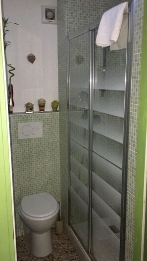 A bathroom with a toilet, a glass shower enclosure, and a tiled wall with a decorative tile piece. - B&B La terrazza di San Salvario (Turin)