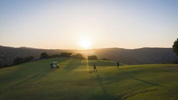 Golf cart