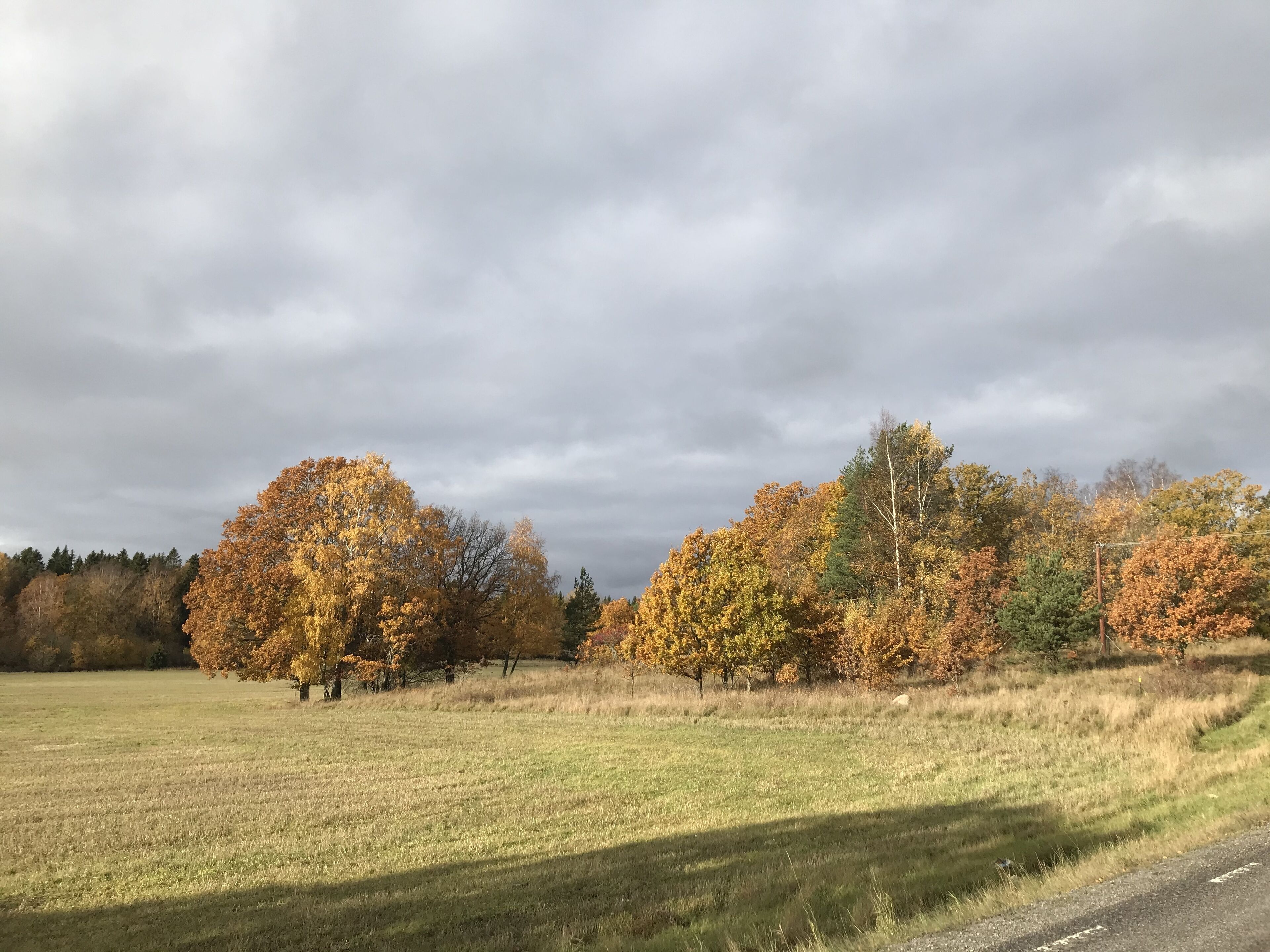 Foto - Sjöstuga Myttinge