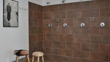 Shower, free toiletries, hair dryer, bidet