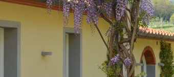 Podere delle Fanciulle