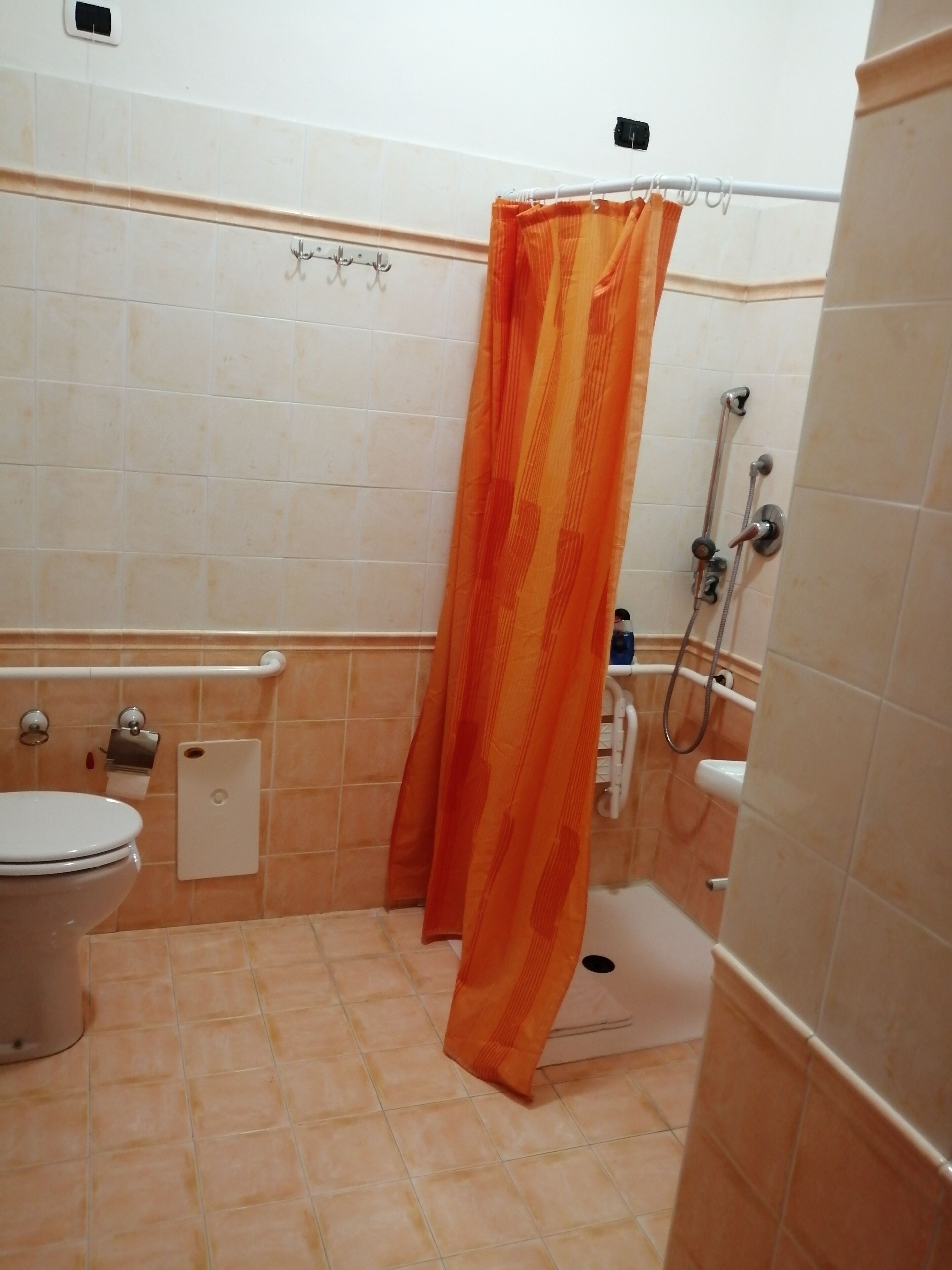 Un baño con inodoro, ducha y toallero.