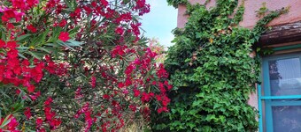 Agriturismo Agrisole