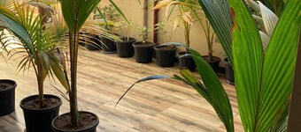 Dream Vision Guest House