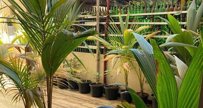 Dream Vision Guest House