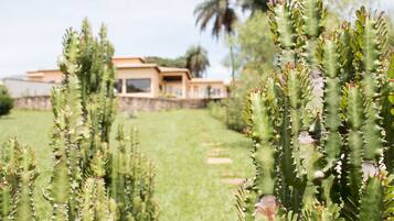 Área da propriedade