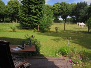 A patio with a table, chairs, and a view of a grassy field with a horse.