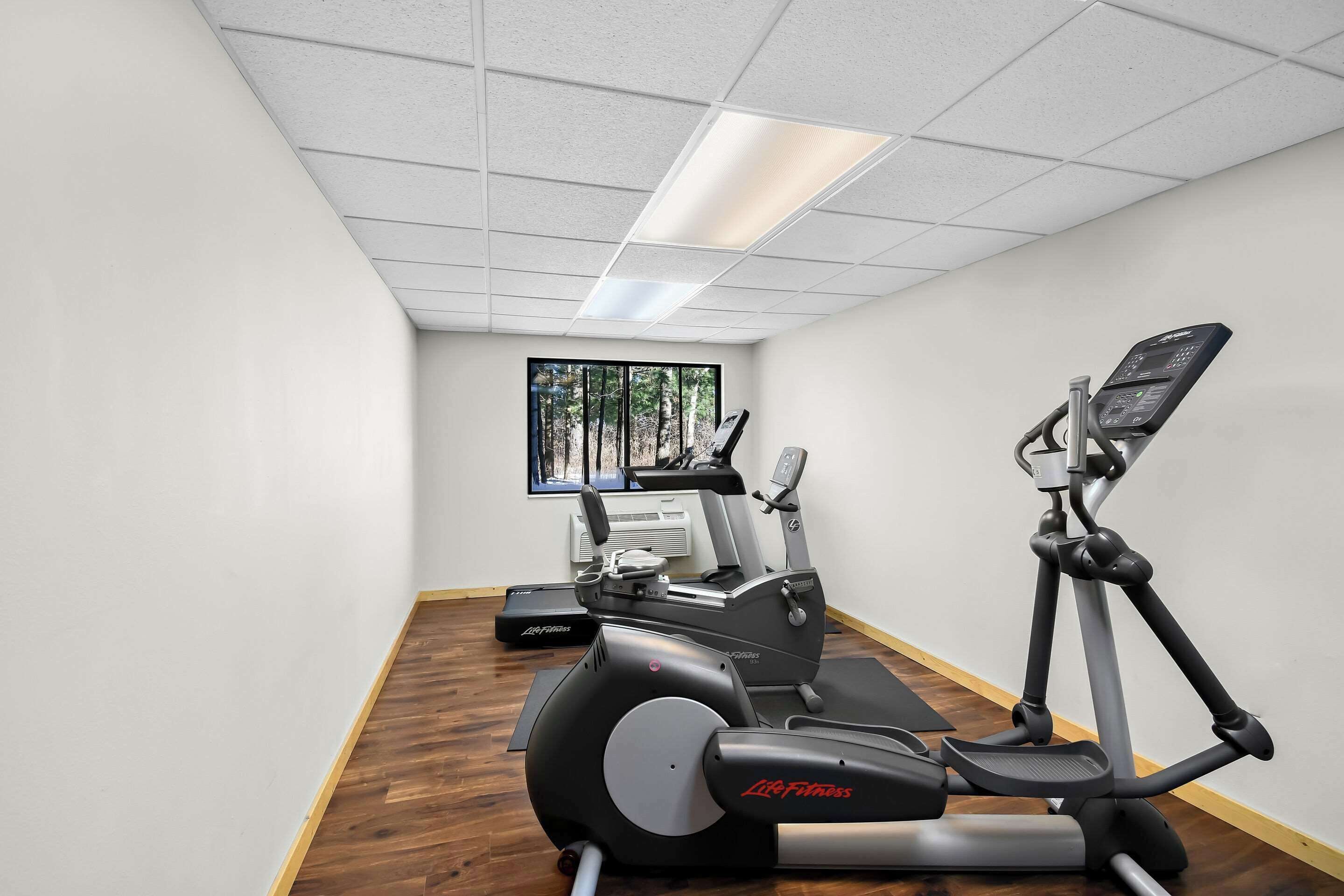 A gym with a treadmill, elliptical, and stationary bike, a window with a view of trees, and a white ceiling with a light fixture.
