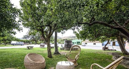 Agriturismo Modi