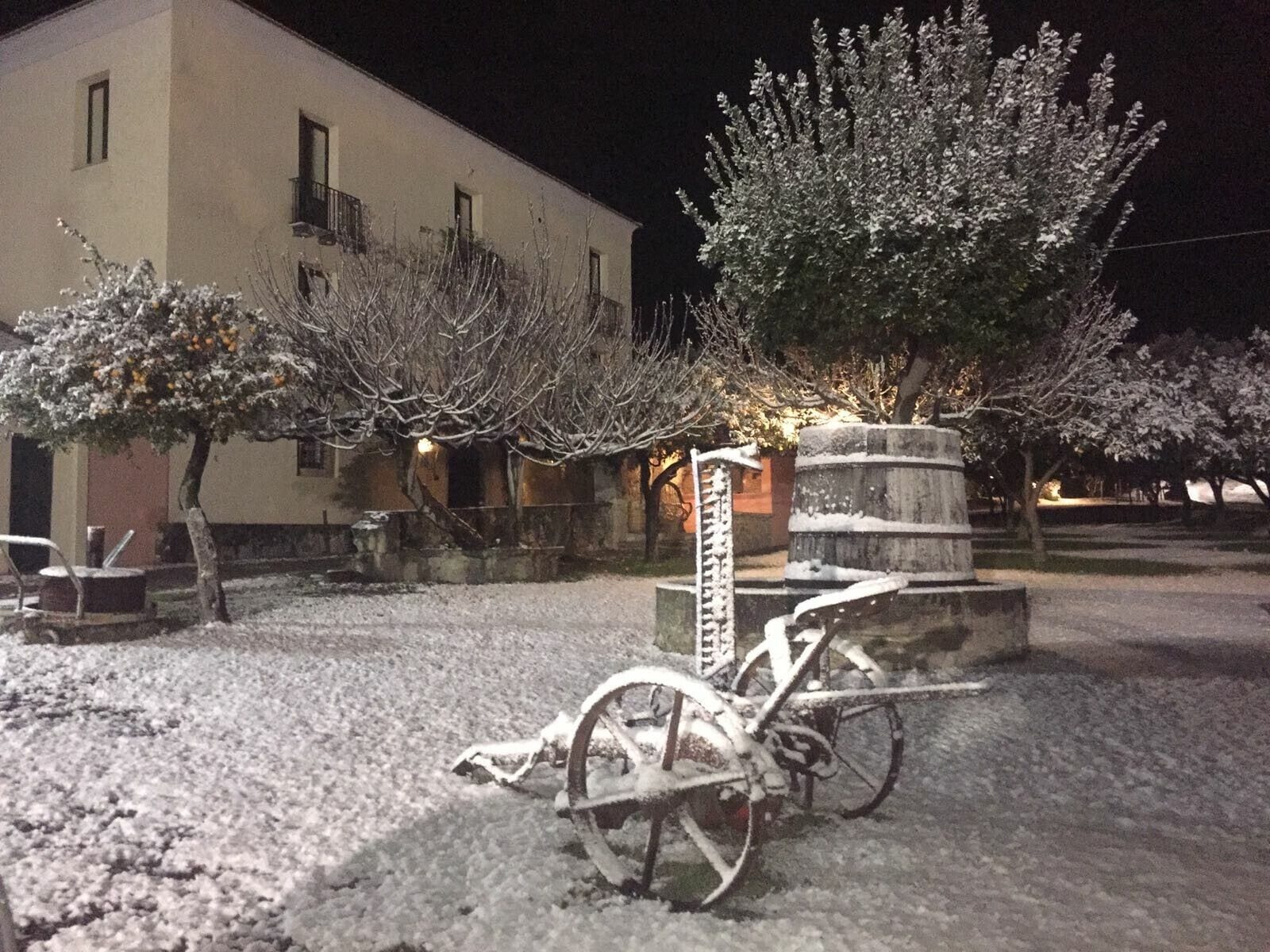 Blick auf den Garten