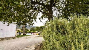 Un sendero adoquinado con un matorral frondoso a la derecha y un árbol que da sombra.