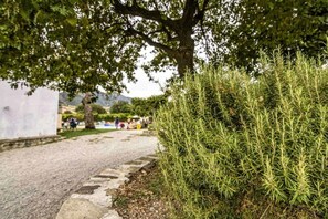 Property grounds - Agriturismo Modi (Gerace)