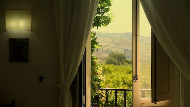 Habitación con vistas a un viñedo desde una puerta abierta.
