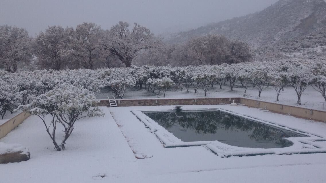 季節限定屋外プール、プール パラソル