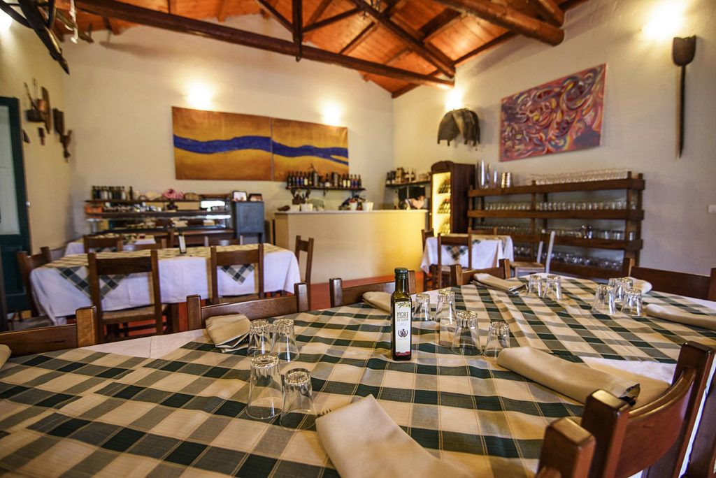A restaurant with checkered tablecloths, wooden chairs, and a rustic ceiling.