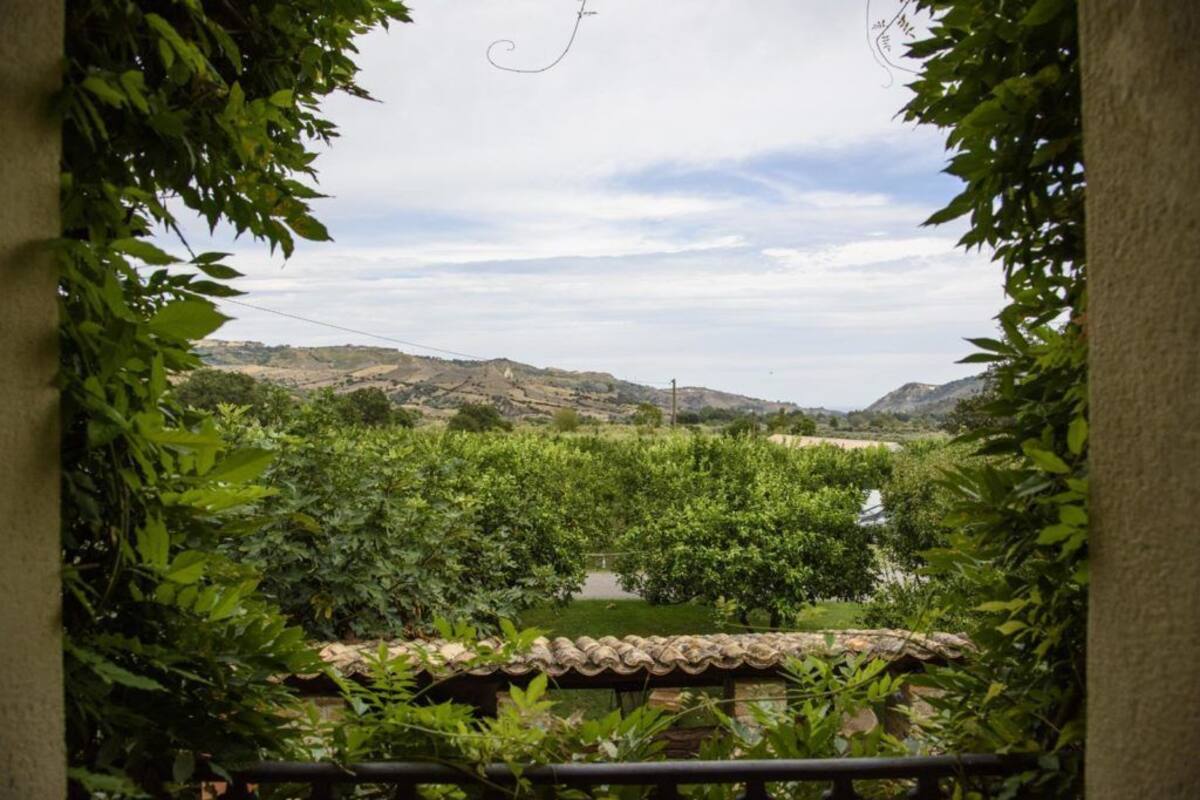 Blick durch ein Fenster auf eine grüne Landschaft mit Bäumen und Hügeln.