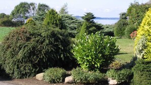 A garden with various shrubs and trees, a clear sky, and a distant view of a body of water.