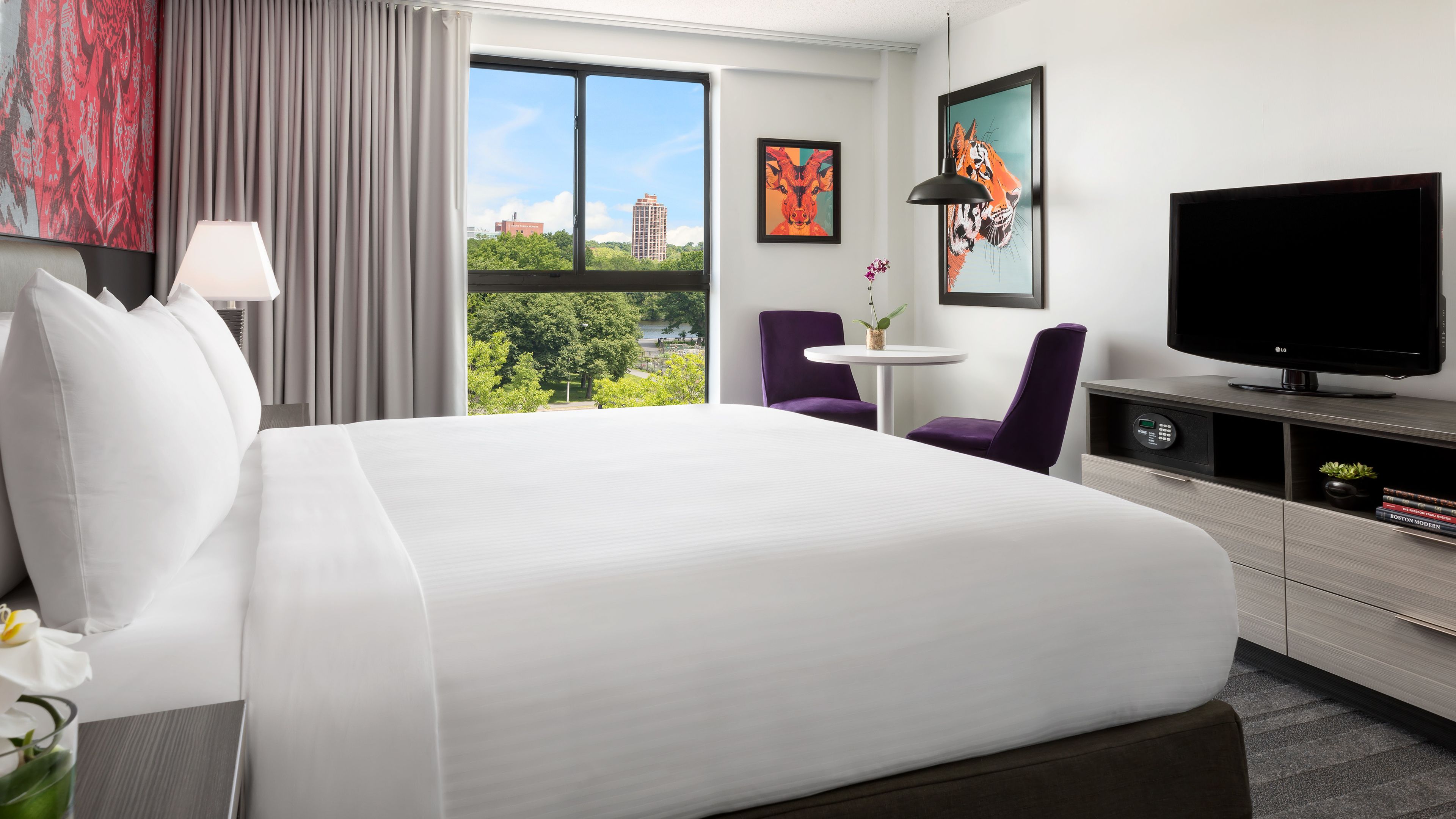 إطلالة الغرفة