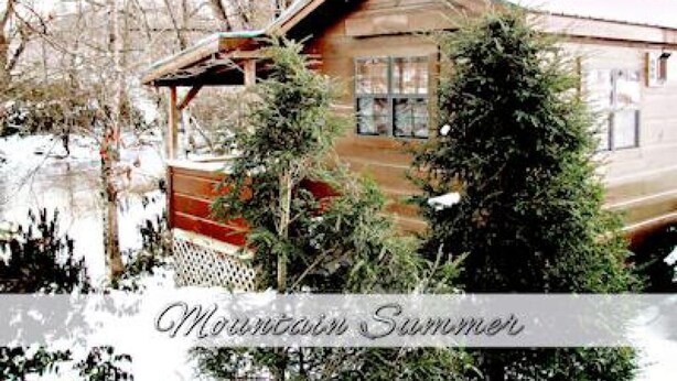 A wooden cabin with a porch, surrounded by trees and snow. - Linville River Log Cabins (Newland)