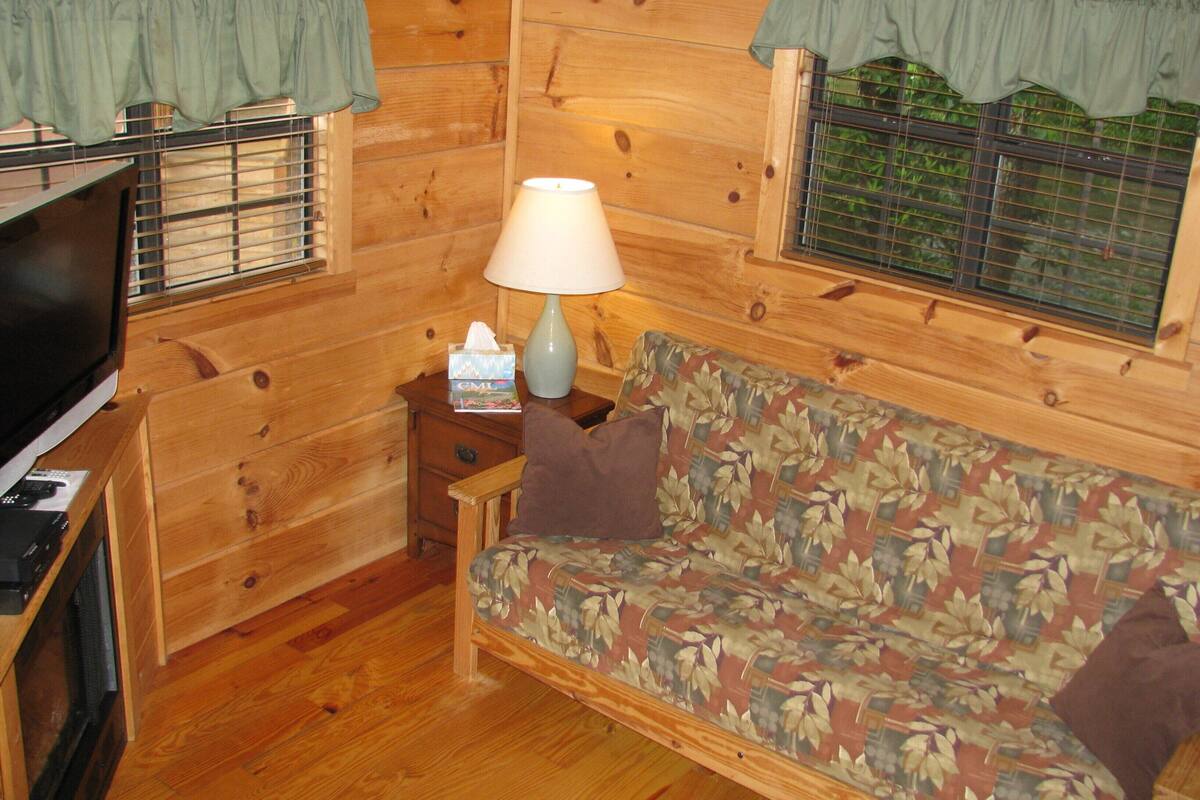 A wooden cabin interior with a sofa, a TV, a lamp, and a window with a view of greenery.