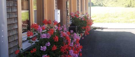 Détail de l’extérieur