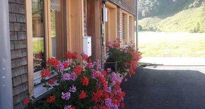 Haus Moosbrugger - Bauernhof - Ferienwohnung