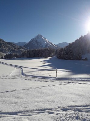 Oklassificerad bild, 2 av 27, knapp