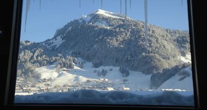 Haus Moosbrugger - farm - apartment