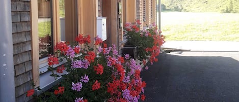 DĂ©tail de lâextĂ©rieur