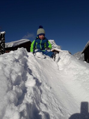 Oklassificerad bild, 4 av 27, knapp