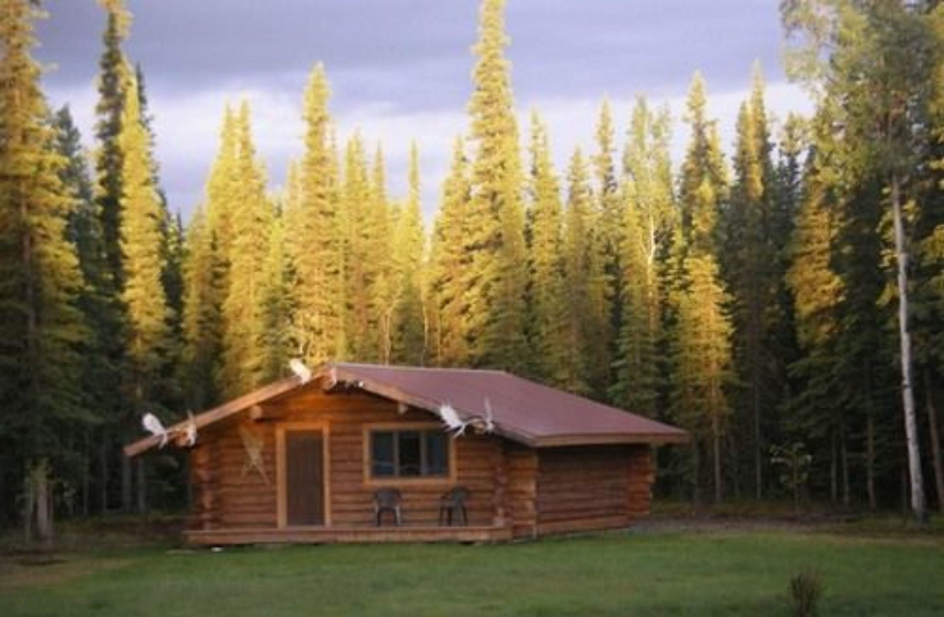 A log cabin with a porch and two chairs, surrounded by a forest.
