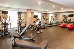 Fitness facility - Holiday Inn Lexington - Hamburg by IHG (Lexington)
