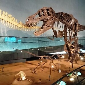 Una exhibición de esqueletos de dinosaurios, con un esqueleto de T-Rex prominente y otros huesos prehistóricos.
