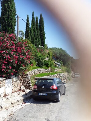 Park your car on this quiet rural road, surrounded by tall trees.