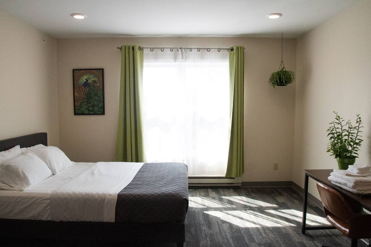 A hotel room with a bed, a desk, a hanging plant, and a window with curtains.