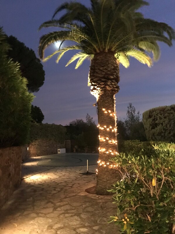 A pathway lined with a palm tree wrapped in lights, leading to a stone wall.