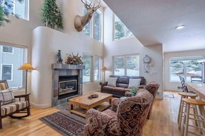 TV, fireplace, books