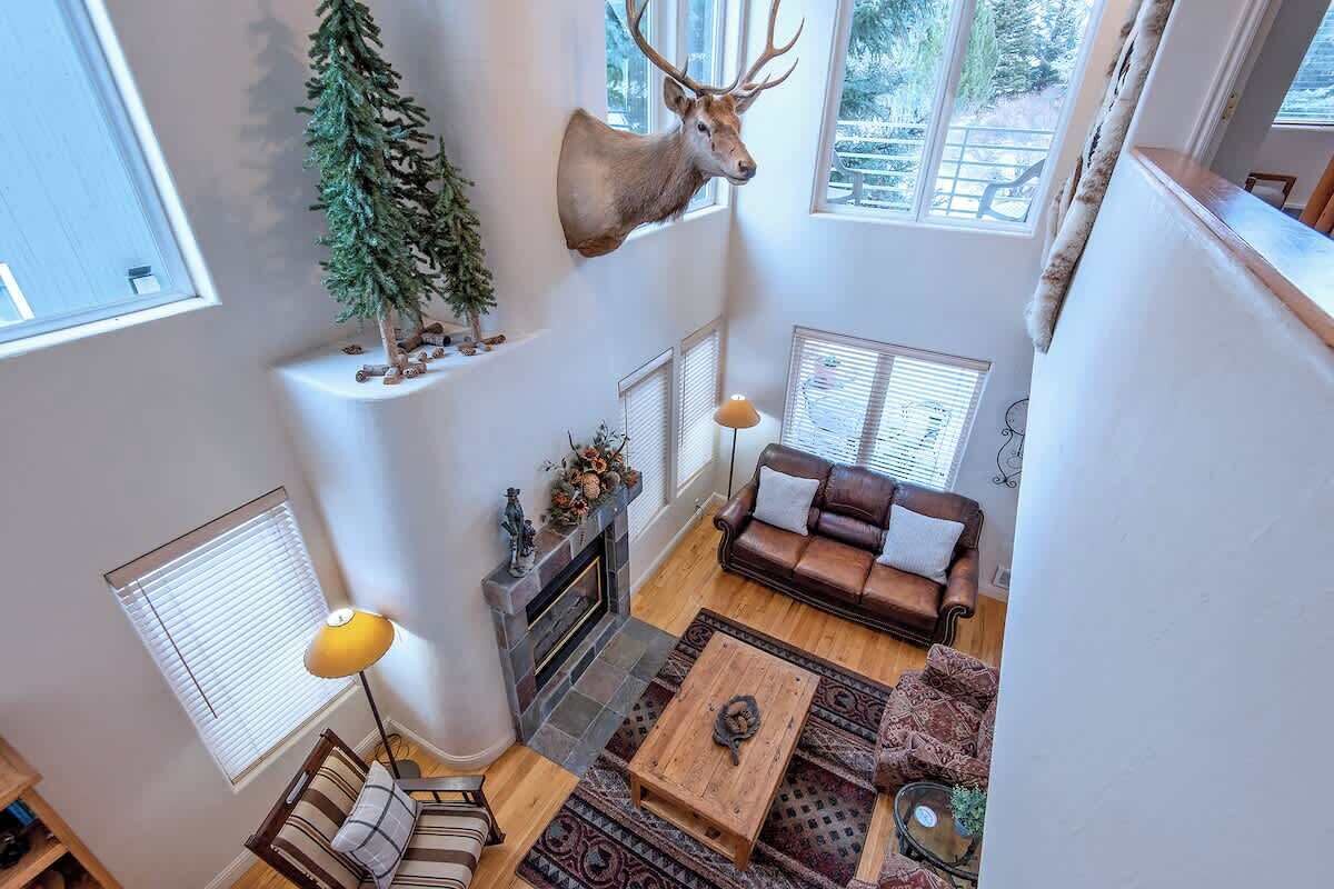 TV, fireplace, books