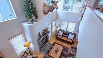 TV, fireplace, books